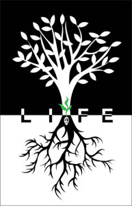 poster2