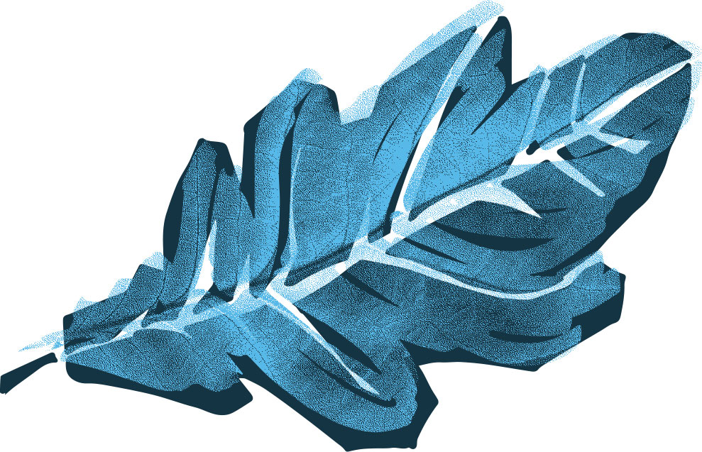 leaf1