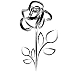 rose
