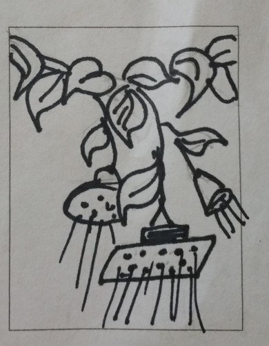 flower and shower