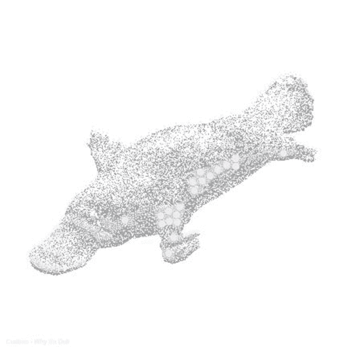 900platypus