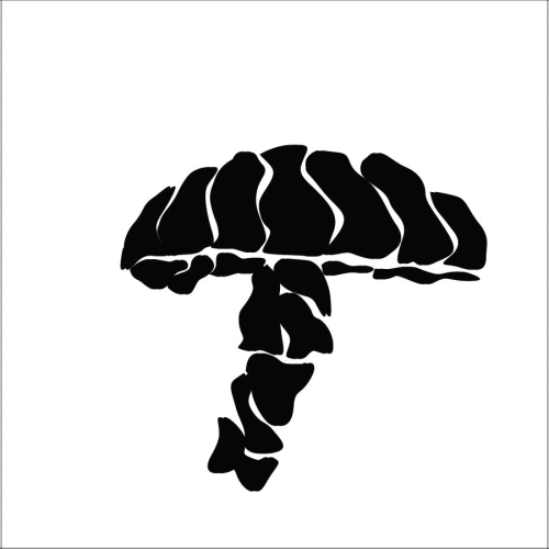 B&Wmushroom900