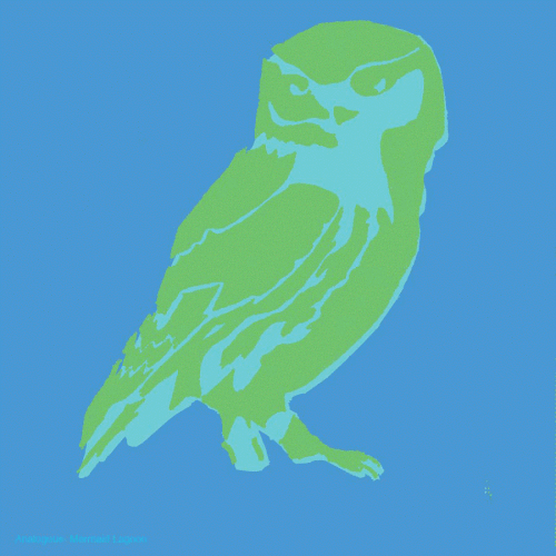 Color-animation-900