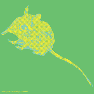 Elephant_Shrew_Color_300