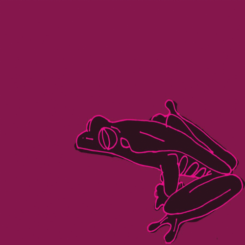 Frog900