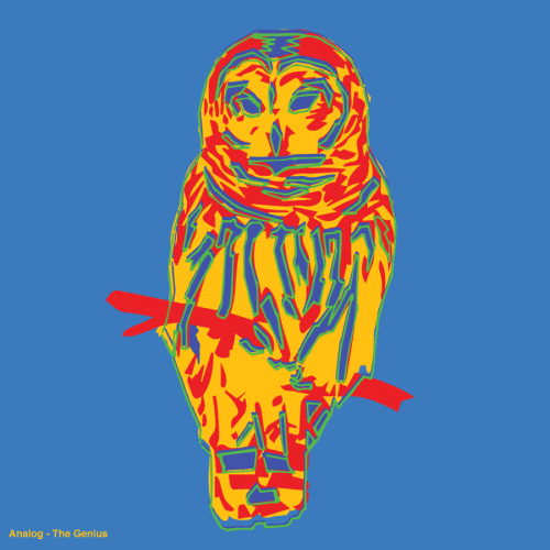 Owl-900