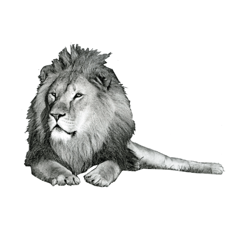 Peet_Julia-Black-and-White-Animation900