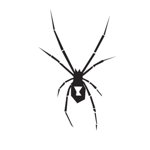 Spider_Black_and_White-900