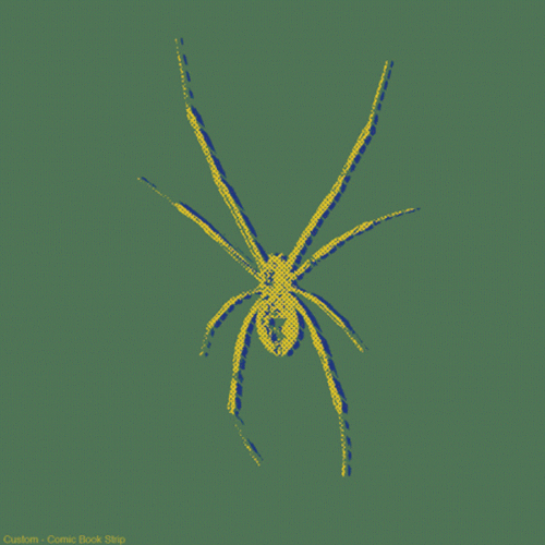 Spider_Color_900