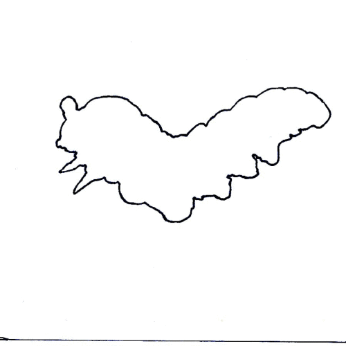 catapillar_black_white_900