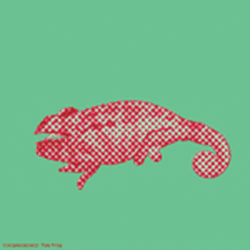 chameleon_color_900px1