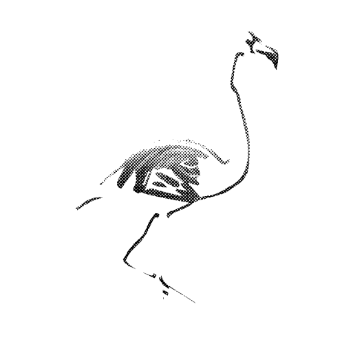 flamingoBW900