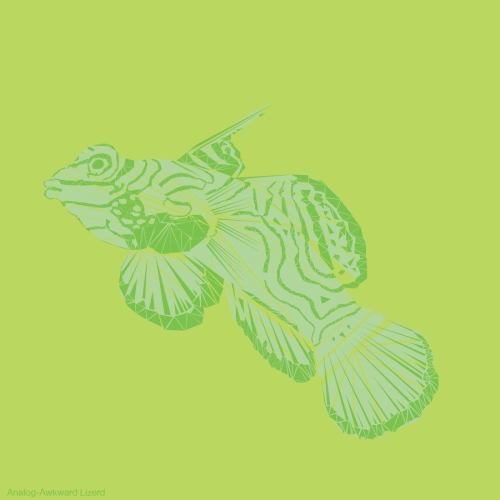 gif fish_color_900