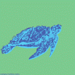 turtle_150