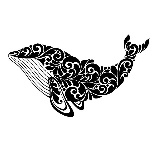 whale