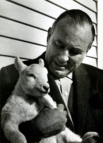 lester-beall